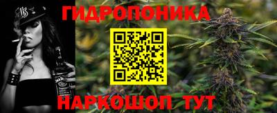 МДПВ Дубна