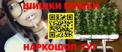 МДПВ Дубна