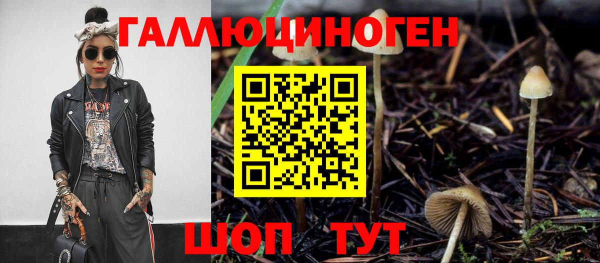 Галлюциногенные грибы Psilocybine cubensis Мурино