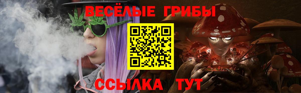 Мурино  Галлюциногенные грибы Psilocybine cubensis  Вход с VPN  Псилоцибиновые грибы прущие грибы 