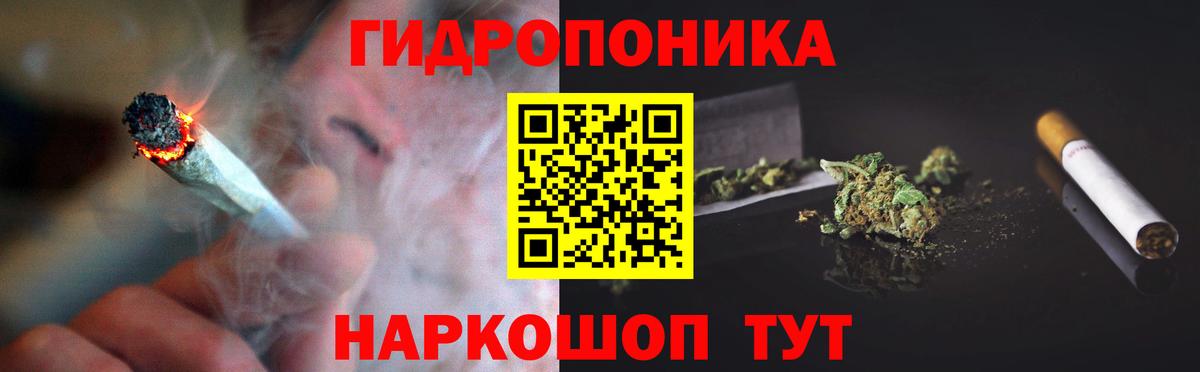 Каннабис сатива Мурино